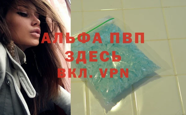 СК Алексин