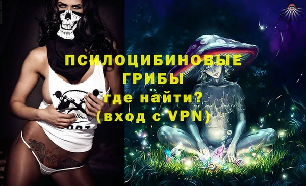 СК Алексин