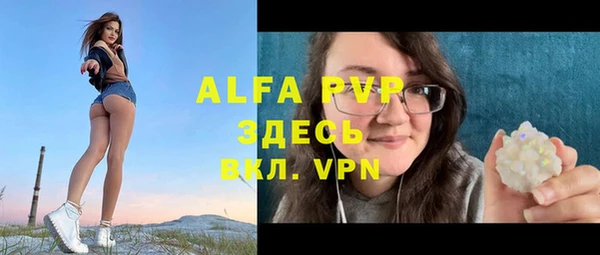 СК Алексин