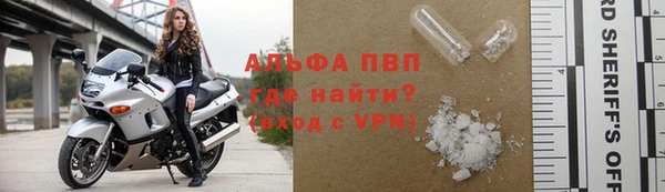 СК Алексин