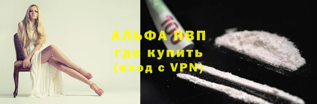 СК Алексин