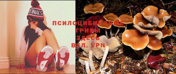 гидропоника Алексеевка