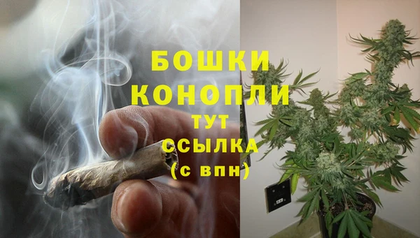 spice Рославль
