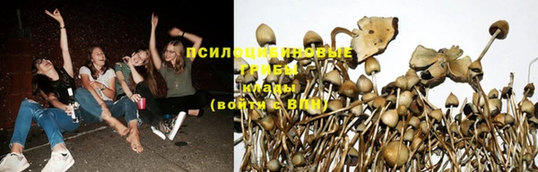 кокаин перу Алзамай