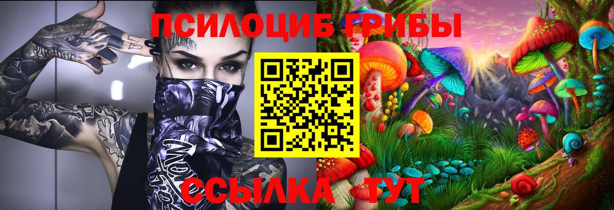 Галлюциногенные грибы Cubensis Бирск