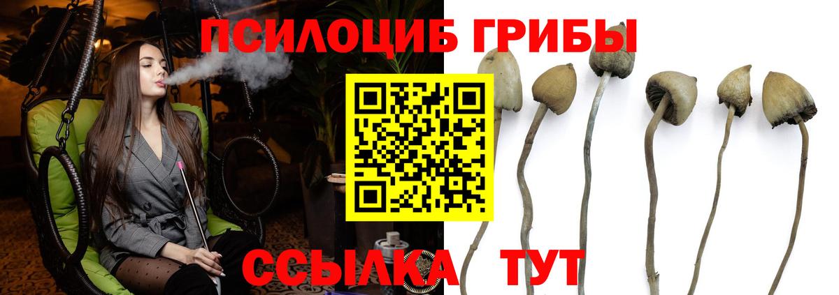 Галлюциногенные грибы Magic Shrooms  Вход с VPN  Псилоцибиновые грибы мицелий  Бирск 